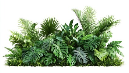 Lush Tropical Foliage: A Vibrant Collection of Exotic Plants