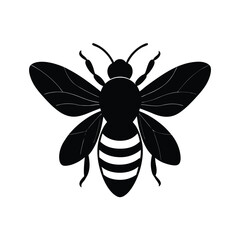bee and flower