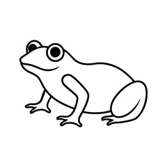 frog on white background