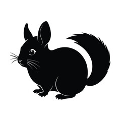 illustration of a squirrel