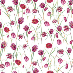 Obraz premium Fritillary, Easter spring pink flowers seamless pattern. Stock illustration. Hand painted in watercolor. 