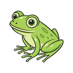 green frog on white background