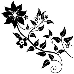 black and white flowers