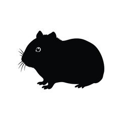 mouse on a white background