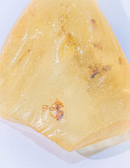 Amber Raw Crystal with fossilized insects