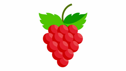 raspberry with leaves