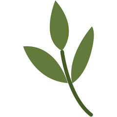 Hand drawn pretty green leaf illustration