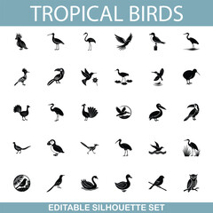 Tropical Birds Silhouette Set Diverse Avian Wildlife Illustrations