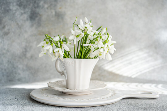 Snowdrops in a mug on elegant ceramic dishes, soft background