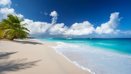 beach with white sand, cloud, palm tree and wave