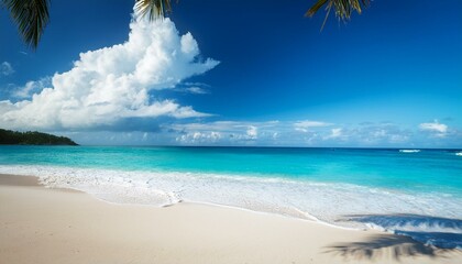 beach with white sand, cloud, palm tree and wave
