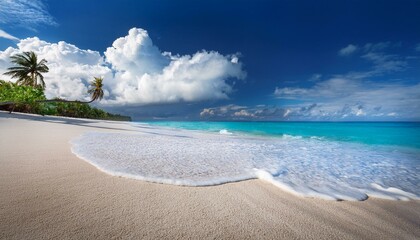 beach with white sand, cloud, palm tree and wave