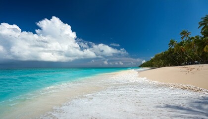 beach with white sand, cloud, palm tree and wave