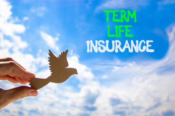 Term life insurance symbol. Concept words Term life insurance on beautiful blue sky. Beautiful blue...
