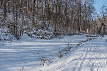 Walking Past the Frozen Pond at Dusk, Nixon Park, York County Pennsylvania