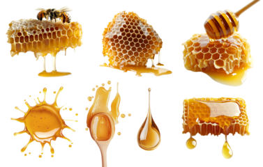Collection set of Honeycomb beeswax, honey dripping drip dipper, splash splatter drop serve, with bee on transparent cutout PNG file. Many style. Mockup template for artwork
