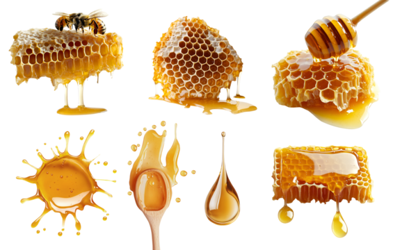 Collection set of Honeycomb beeswax, honey dripping drip dipper, splash splatter drop serve, with bee on transparent cutout PNG file. Many style. Mockup template for artwork