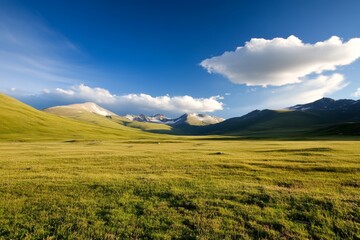 Vast green landscape under a clear blue sky with distant mountains in the background during daytime