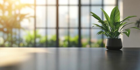 Fototapeta premium Serene Indoor Plant on Modern Table near Window