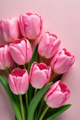 Obraz premium Pink tulips with subtle, soft color variations, arrangement, colorful, flowers