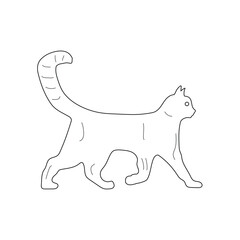Cat Line Art Illustration Vector With White Background.