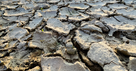 Cracked Earth Texture Depicting Drought and Climate Change Impact on Arid Landscapes with Detailed Patterns and Natural Colors