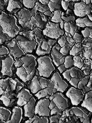 Cracked Earth Texture in Black and White Highlighting Drought and Environmental Impact