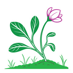 illustration of a flower