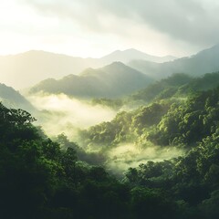 Obraz premium Beautiful mountain landscape with mist gently floating above thick trees