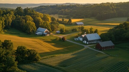 Golden Hour Farmland: Aerial View of Serene Rural Landscape