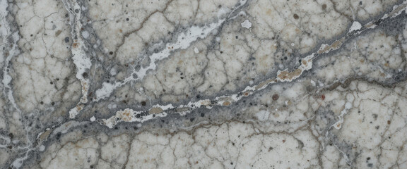 Naklejka premium Close-up of a textured stone surface with intricate patterns.