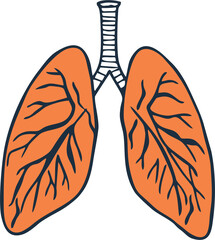 Human lungs on a white. Anatomy on white background. Human Respiratory System poster or banner for medical treatment or education. Medicine marketing idea.