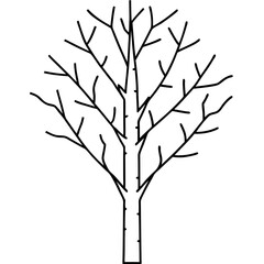 white birch tree line art vector illustration 