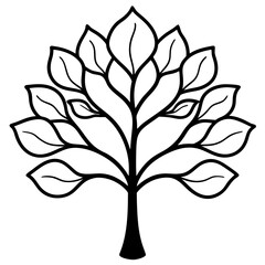 fig tree line art vector illustration 