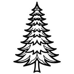 Obraz premium balsam fir tree line art vector illustration 