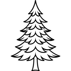  Douglas fir tree line art vector illustration 