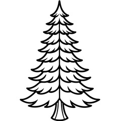  Douglas fir tree line art vector illustration 