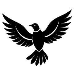 dove in flight