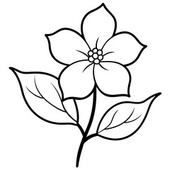 dogwood line art vector illustration 
