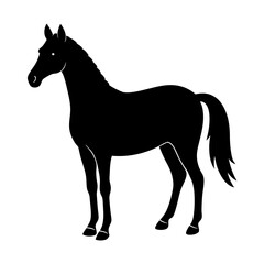 horse silhouette isolated on white