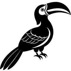 black and white bird