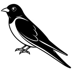 purple martin silhouette vector illustration