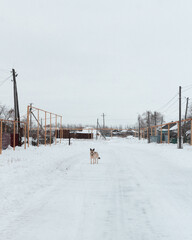 person walking in the snow