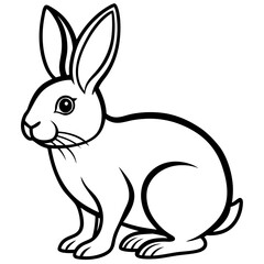 white rabbit on white