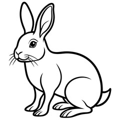 white rabbit isolated on white background