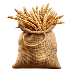Rolled-up burlap sack filled with wheat on transparent background