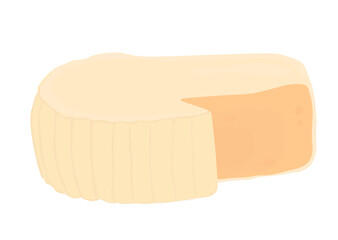 Camembert cheese with mold. Round head of cheese and triangular piece. Vector stock illustration. Isolated on white background. 