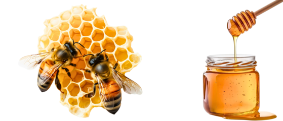 honey element; small glass jar of tasty liquid honey with a scoop dripping with honey and a bee sitting on honeycomb isolated over transparent (white) background; concept of healthier version of sugar