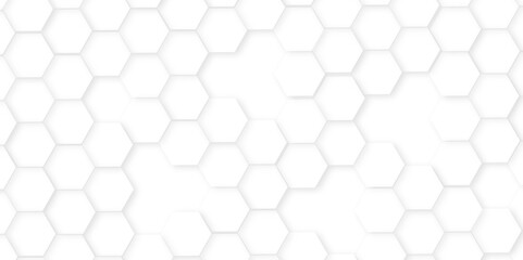 Naklejka premium Abstract background with white color hexagons,Abstract white and grey color hexagonal geometric background with copy space. geometric mesh cell texture.