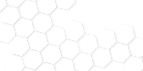 Abstract background with white color hexagons,Abstract white and grey color hexagonal geometric background with copy space. geometric mesh cell texture.